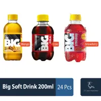 Big Soft Drink 200ml