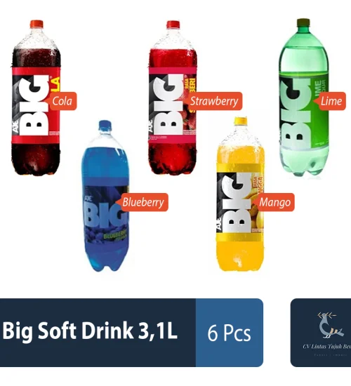 Food and Beverages Big Soft Drink 3,1L 1 ~item/2022/4/21/big_soft_drink_31l
