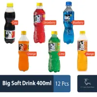 Big Soft Drink 400ml