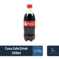 Mini Soft Drinks 250ml 