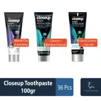 Closeup Toothpaste 100gr 